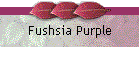 Fushsia Purple
