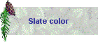 Slate color