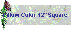 Pillow Color 12" Square